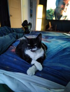 IMG_20250407_191205558