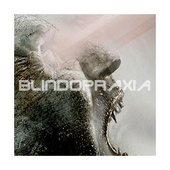 Subgallery: Blindopraxia